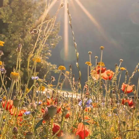Beautiful Holiday In With Sauna